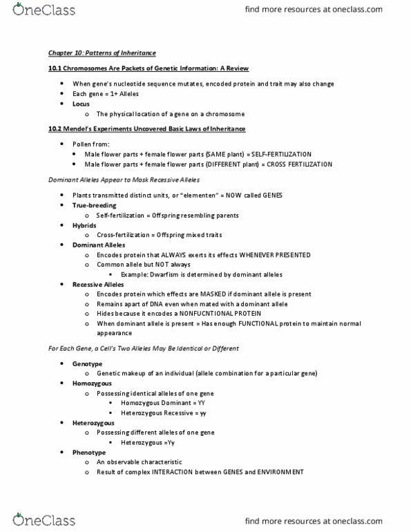 BIOL 1500 Chapter Notes - Chapter 10: Eye Color, Fetal Alcohol Spectrum Disorder, Punnett Square thumbnail