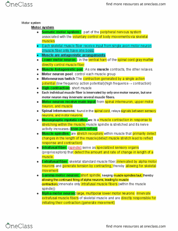 PSY 351LEC Lecture Notes - Lecture 15: Lower Motor Neuron, Alpha Motor Neuron, Gamma Motor Neuron thumbnail