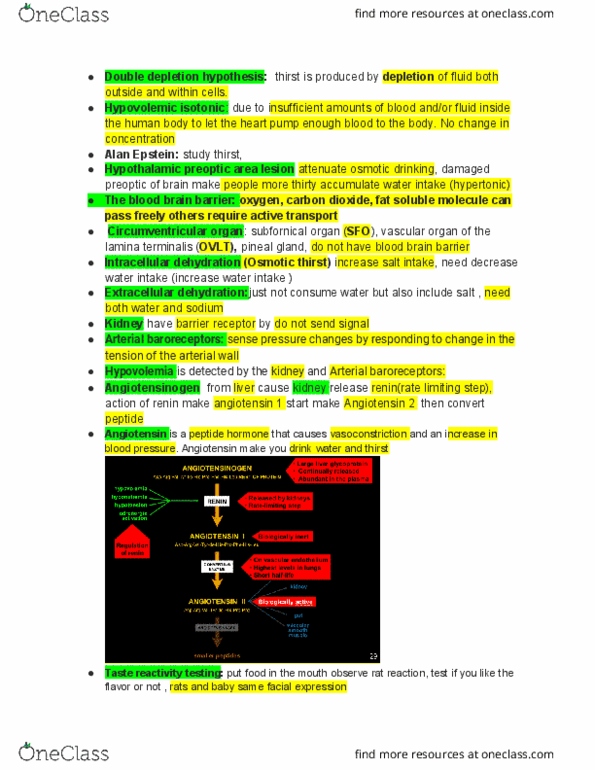 PSY 351LEC Lecture Notes - Lecture 17: Lamina Terminalis, Angiotensin Receptor, Subfornical Organ thumbnail