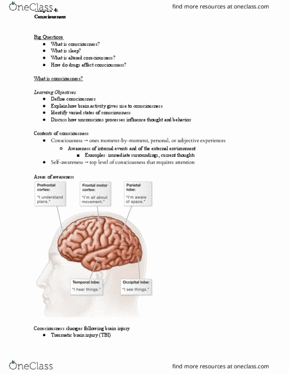 PSY 201 Lecture Notes - Lecture 4: Traumatic Brain Injury, Grey Matter, Randomness thumbnail