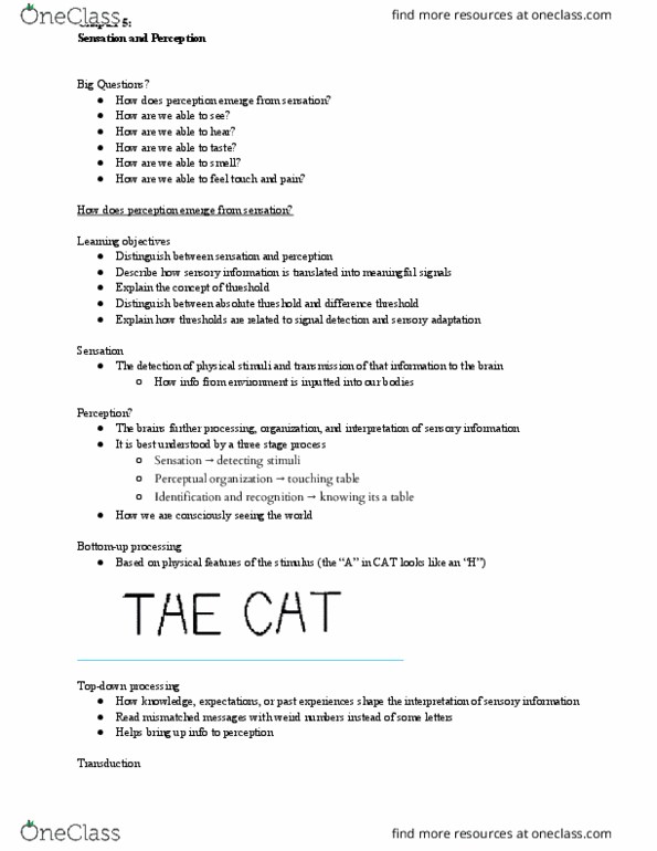 PSY 201 Lecture Notes - Lecture 5: Absolute Threshold, Neural Adaptation, Ganglion Cell thumbnail