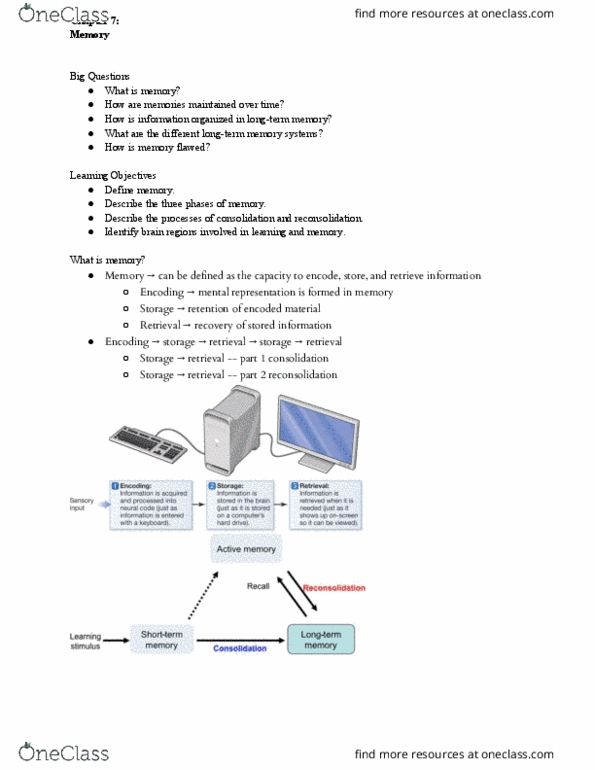 PSY 201 Lecture Notes - Lecture 7: Episodic Memory, Procedural Memory, Implicit Memory thumbnail