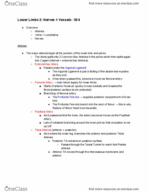 ANAT20006 Lecture Notes - Lecture 19: Posterior Tibial Artery, Inguinal Ligament, Femoral Artery thumbnail