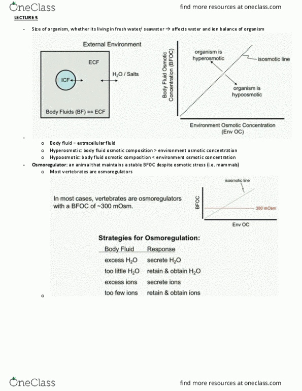 document preview image