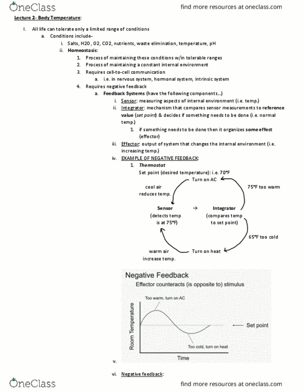 BIO 203 Lecture Notes - Lecture 2: Cool Air, Negative Feedback, Thermostat thumbnail