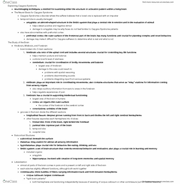 PSY 2101 Chapter Notes - Chapter 2: Capgras Delusion, Prefrontal Cortex, Temporal Lobe thumbnail