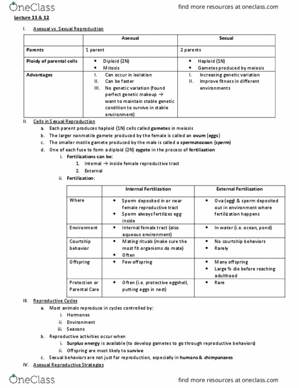 BIO 203 Lecture Notes - Lecture 11: Spermatozoon, Gamete, Egg Cell thumbnail