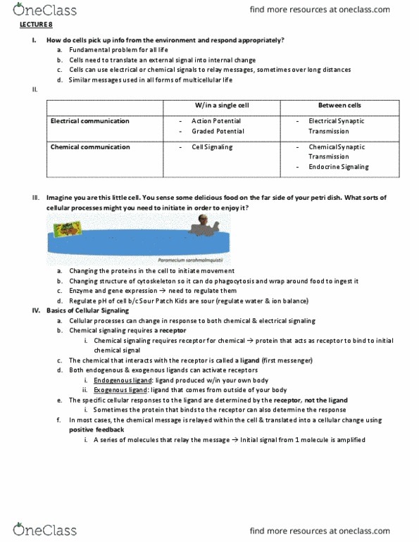 BIO 203 Lecture Notes - Lecture 8: Sour Patch Kids, Petri Dish, Phagocytosis thumbnail