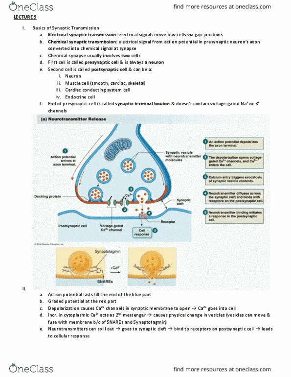 document preview image