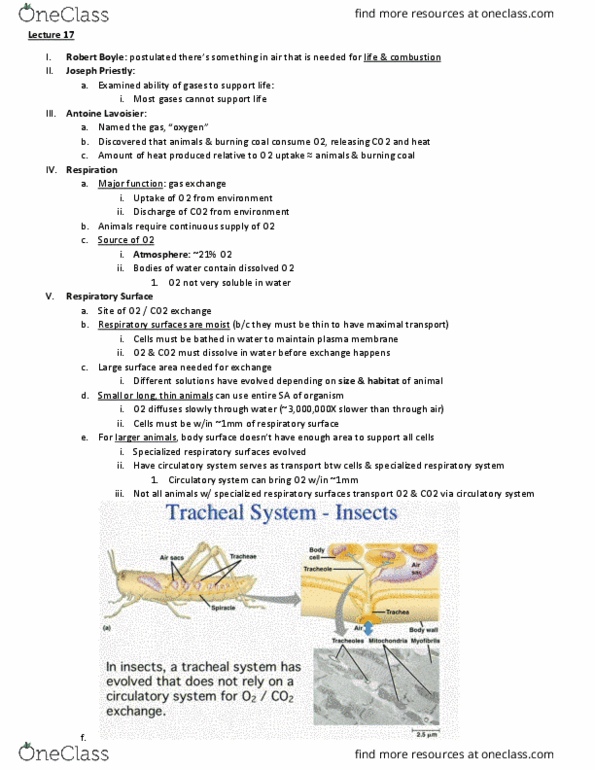 BIO 203 Lecture Notes - Lecture 17: Antoine Lavoisier, Joseph Priestley, Respiratory System thumbnail