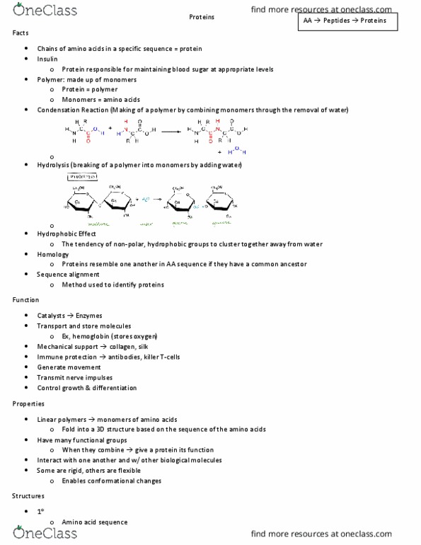 CHE 350 Lecture Notes - Lecture 1: Sequence Alignment, Blood Sugar, Hemoglobin thumbnail