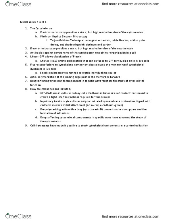 MCD BIO 165A Lecture Notes - Lecture 13: Supercritical Drying, Electron Microscope, Cytochalasin D thumbnail