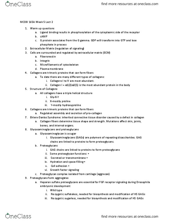 MCD BIO 165A Lecture Notes - Lecture 10: Heparan Sulfate, Connective Tissue Disease, Glycosaminoglycan thumbnail