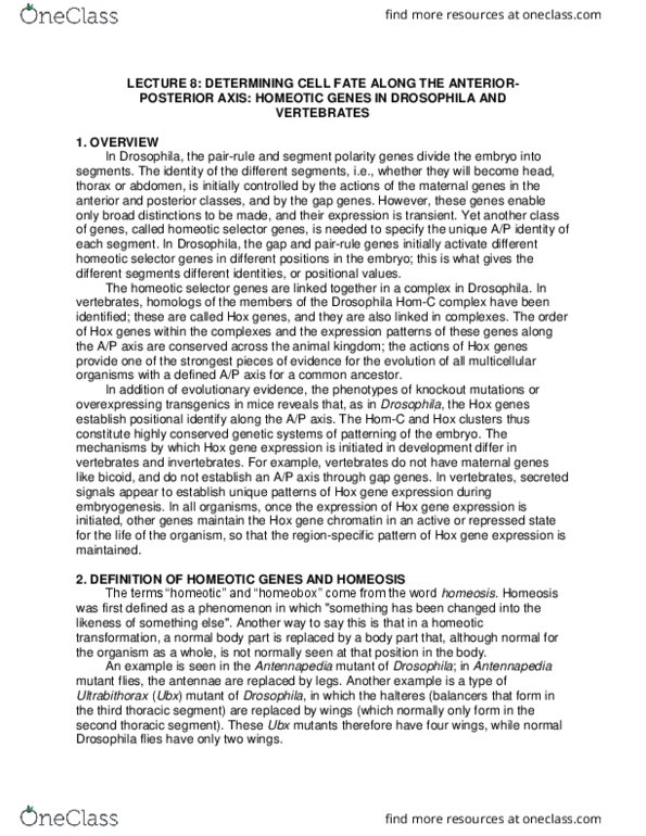 MCD BIO 138 Lecture Notes - Lecture 8: Homeosis, Antennapedia, Anterior Segment Of Eyeball thumbnail