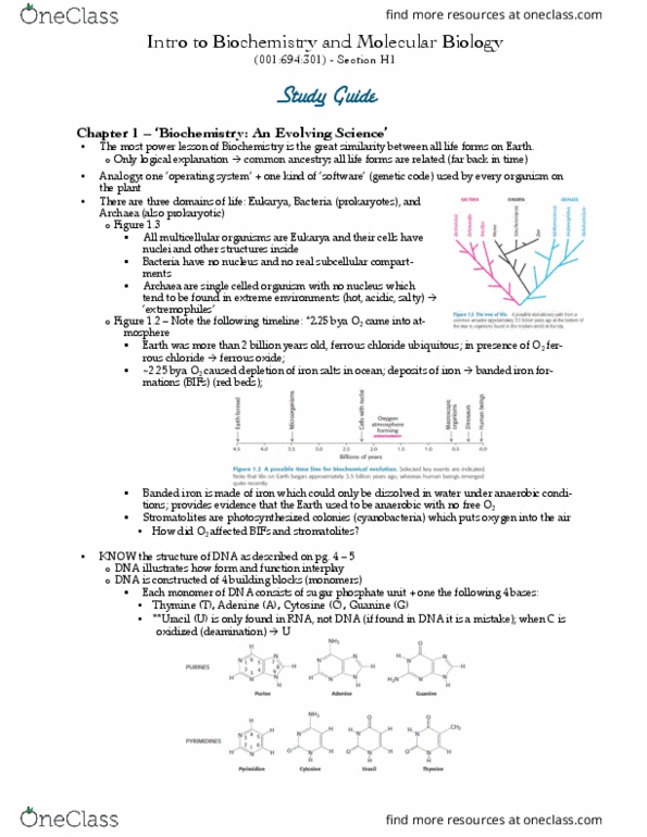 01:694:301 Lecture Notes - Lecture 1: Extremophile, Stromatolite, Archaea thumbnail