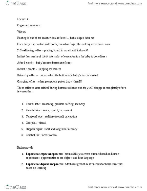 PSYC 2110 Lecture Notes - Lecture 4: Frontal Lobe, Parietal Lobe, Dynamical System thumbnail