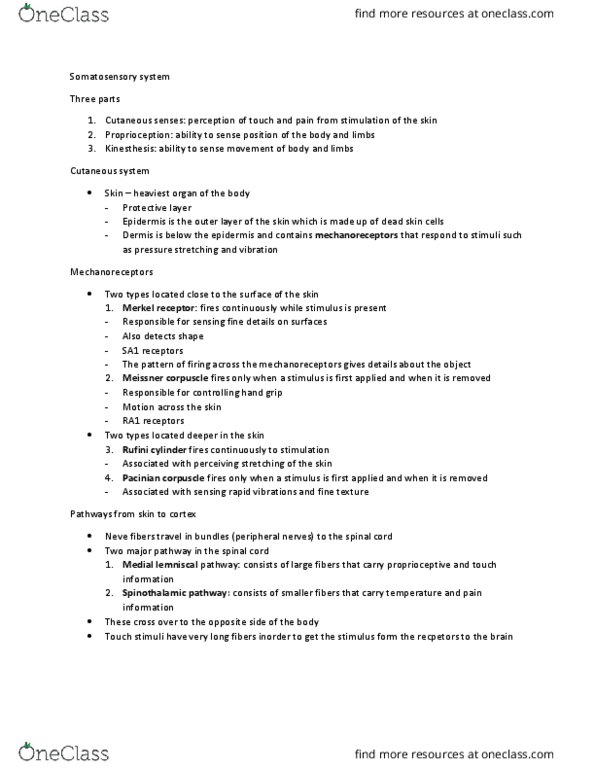 PSYC 3270 Lecture Notes - Lecture 5: Lamellar Corpuscle, Mechanoreceptor, Proprioception thumbnail