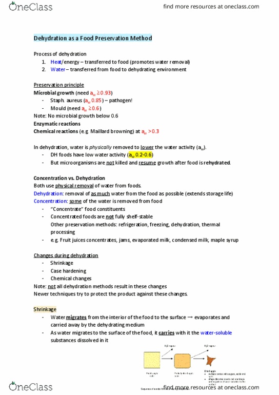 FNH 200 Lecture Notes - Lecture 8: Maple Syrup, Maillard Reaction, Evaporated Milk thumbnail