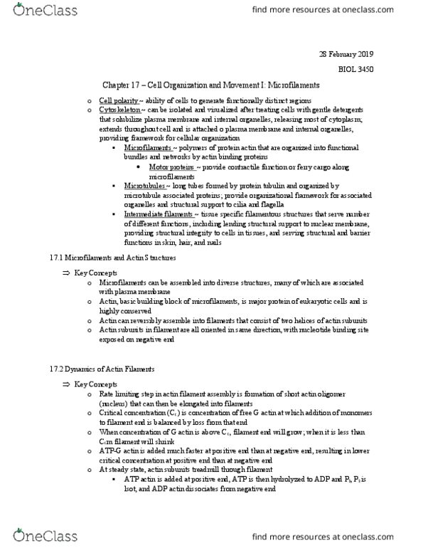 BIOL 3450 Chapter Notes - Chapter 17: Microfilament, Cell Membrane, Nuclear Membrane thumbnail