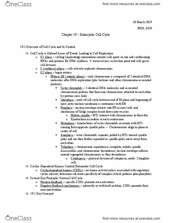 BIOL 3450 Chapter 19: Chapter 19 – Eukaryotic Cell Cycle thumbnail