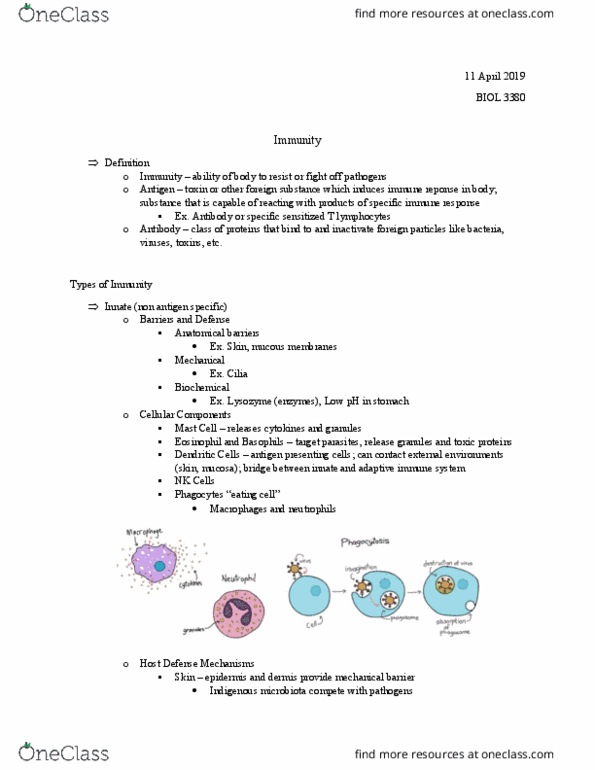 BIOL 3380 Lecture Notes - Lecture 22: Antigen-Presenting Cell, Adaptive Immune System, Dendritic Cell thumbnail