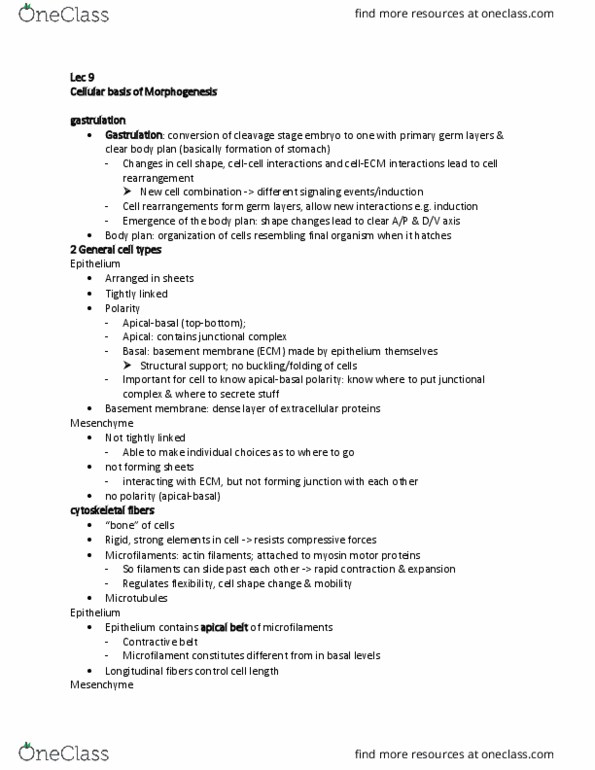 MCD BIO 138 Lecture Notes - Lecture 9: Tight Junction, Cell Junction, Basement Membrane thumbnail