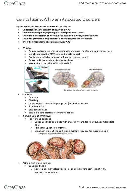 PHTY301 Lecture Notes - Lecture 15: Neck Pain, Biopsychosocial Model, Anatomical Terms Of Motion thumbnail