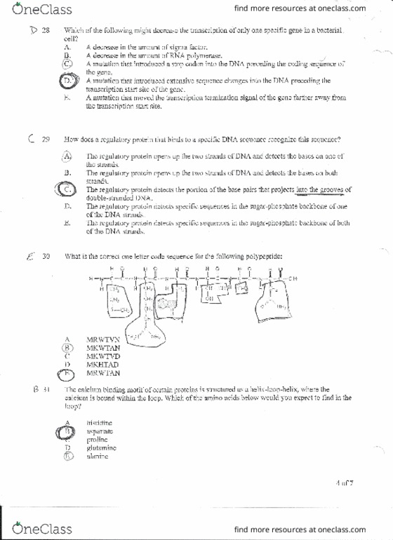 document preview image