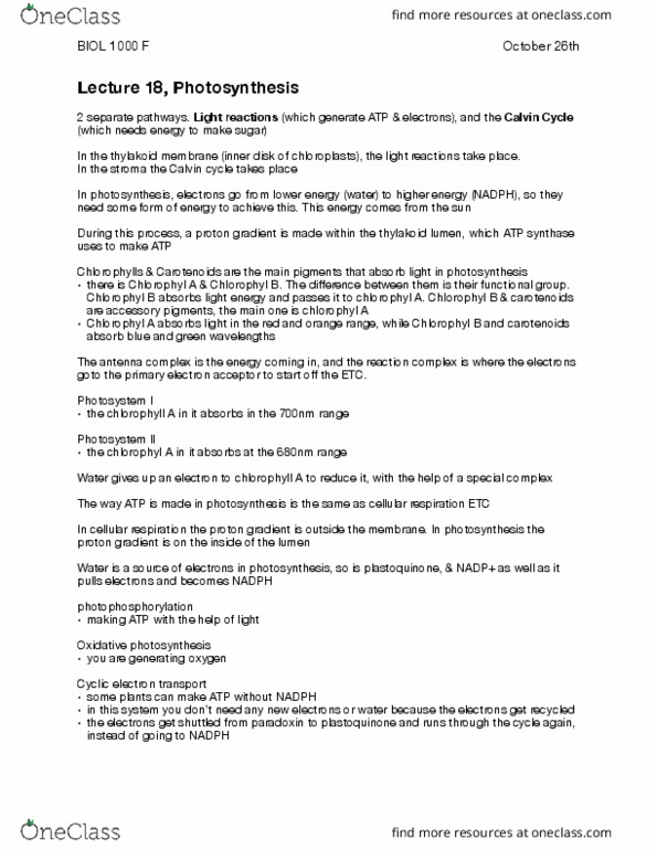 BIOL 1000 Lecture Notes - Lecture 18: Atp Synthase, Electrochemical Gradient, Accessory Pigment thumbnail