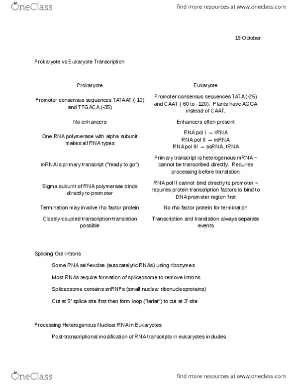 SOCR 330 Lecture Notes - Autocatalysis, Rna Polymerase Iii, Ribosomal Rna thumbnail