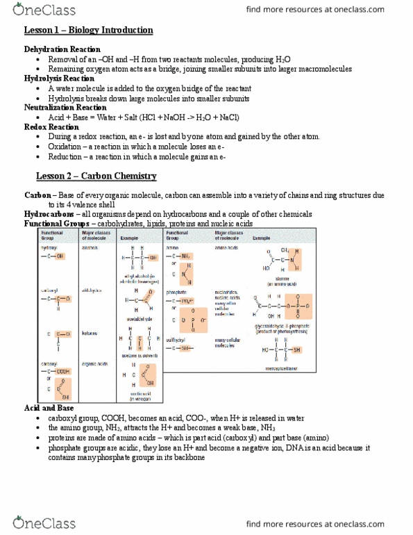 BLG 143 Lecture Notes - Lecture 1: Carboxylic Acid, Amine, Weak Base thumbnail