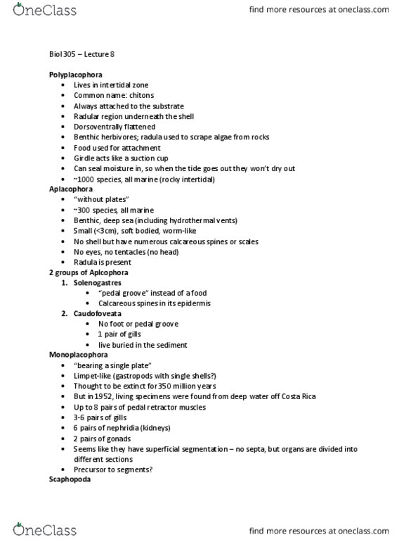 BIOL 305 Lecture Notes - Lecture 8: Intertidal Zone, Suction Cup, Caudofoveata thumbnail