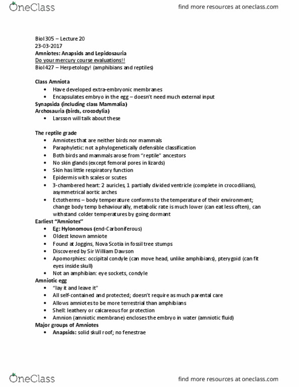 BIOL 305 Lecture Notes - Lecture 20: Joggins, Aortic Arches, Anapsid thumbnail