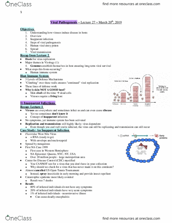 Microbiology and Immunology 2500A/B Lecture Notes - Lecture 27: Us Open (Tennis), Viral Pathogenesis, New York City thumbnail