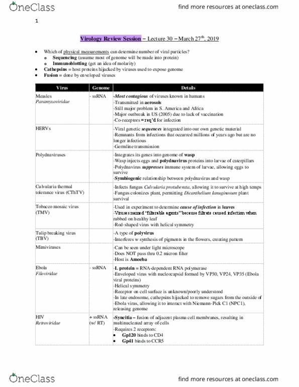 Microbiology and Immunology 2500A/B Lecture Notes - Lecture 30: Tulip Breaking Virus, Tobacco Mosaic Virus, Polydnavirus thumbnail