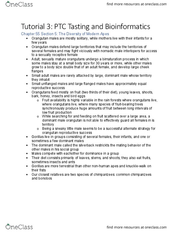 BIOLOGY 1M03 Chapter Notes - Chapter 4: Orangutan thumbnail