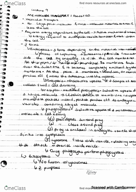 KINE 2011 Lecture 9: lec 9 thumbnail