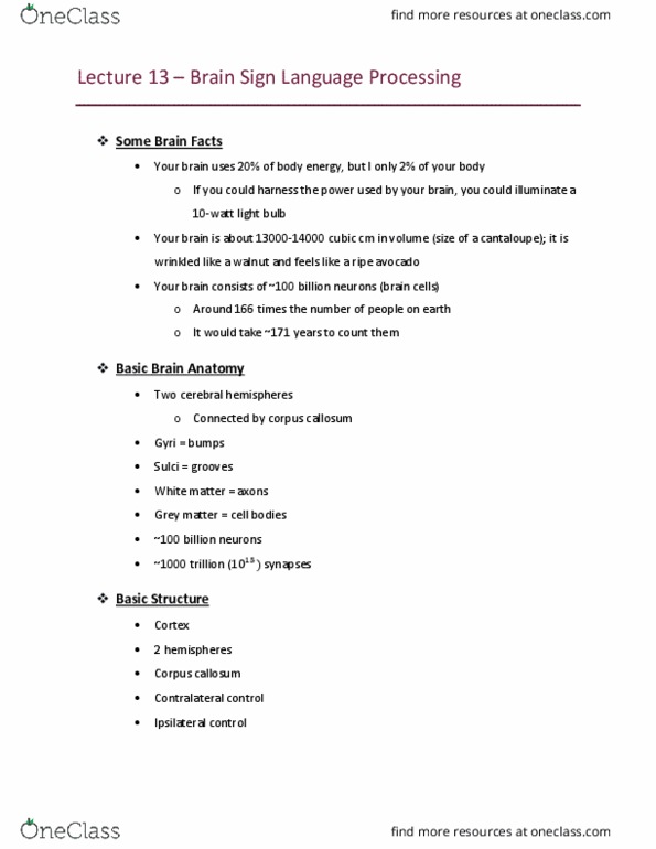 LIGN 148 Lecture Notes - Lecture 13: Corpus Callosum, Grey Matter, Avocado thumbnail