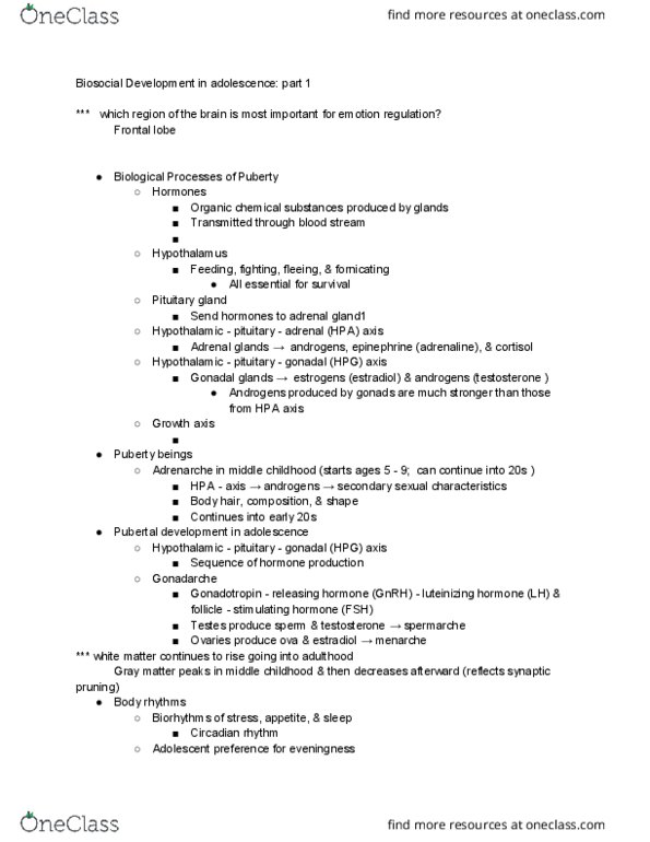 HDE 100B Lecture Notes - Lecture 16: Secondary Sex Characteristic, Gonadotropin-Releasing Hormone, Adrenal Gland thumbnail