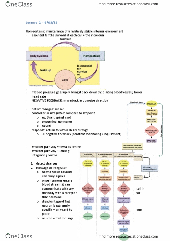 PHYS20008 Lecture Notes - Lecture 2: Vasodilation, Homeostasis, Tonicity thumbnail