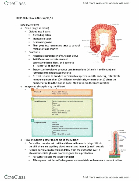 document preview image