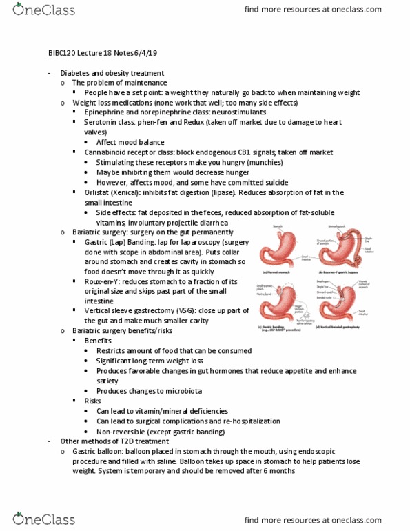 BIBC 120 Lecture Notes - Lecture 18: Sleeve Gastrectomy, Bariatric Surgery, Cannabinoid Receptor thumbnail