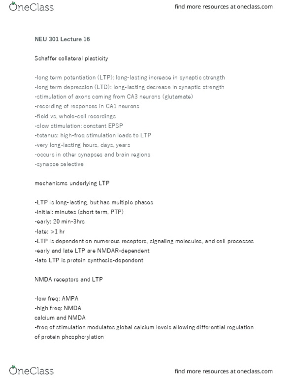 NEU 301 Lecture Notes - Lecture 16: Schaffer Collateral, Long-Term Depression, Long-Term Potentiation thumbnail