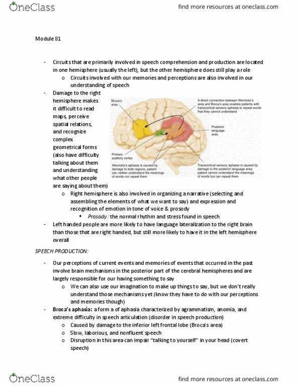 PSYCH261 Lecture Notes - Lecture 81: Anomic Aphasia, Agrammatism, White Matter thumbnail