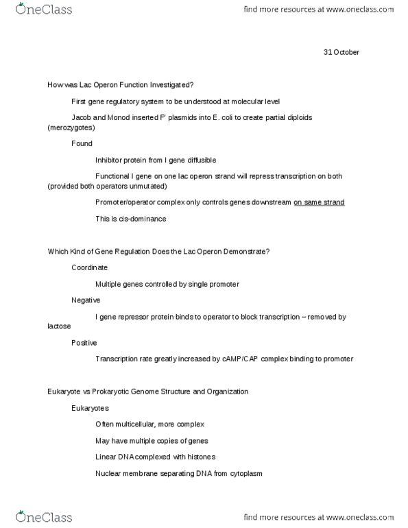 Colorado State University Organizational Chart