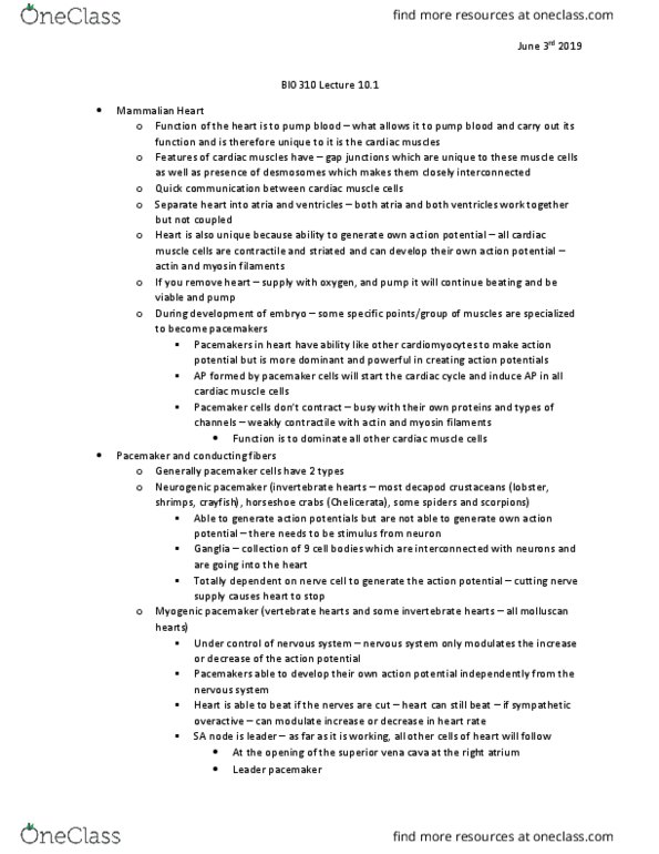 BIO310H5 Lecture Notes - Lecture 10: Superior Vena Cava, Pacemaker Potential, Chelicerata thumbnail