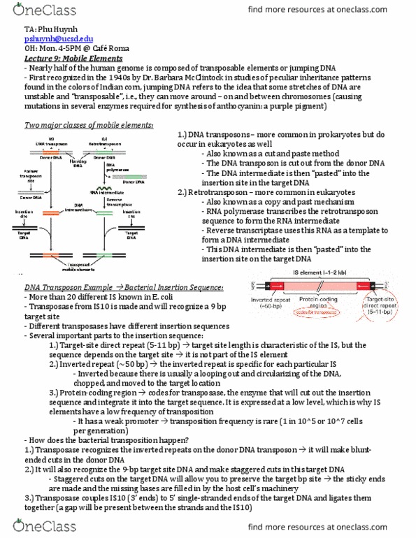 CHEM 140B Lecture Notes - Lecture 1: Insertion Sequence, Transposable Element, Inverted Repeat thumbnail