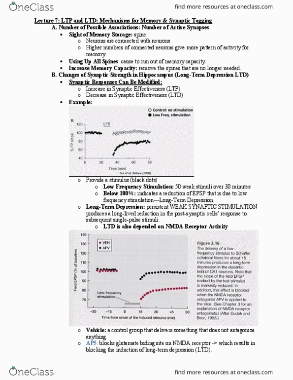 BIO SCI N110 Lecture 2: BIPN 148. Lecture 7 Notes thumbnail