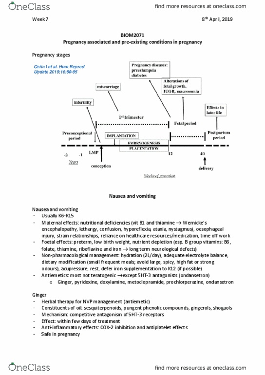 document preview image