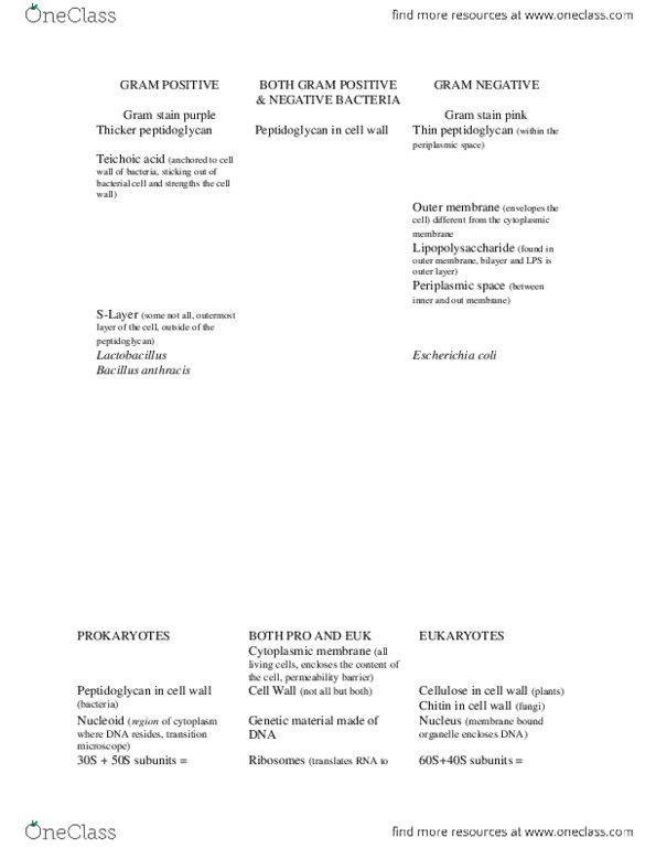 MICR 2420 Lecture Notes - Lipopolysaccharide, Prokaryotic Small Ribosomal Subunit, Lactobacillus thumbnail